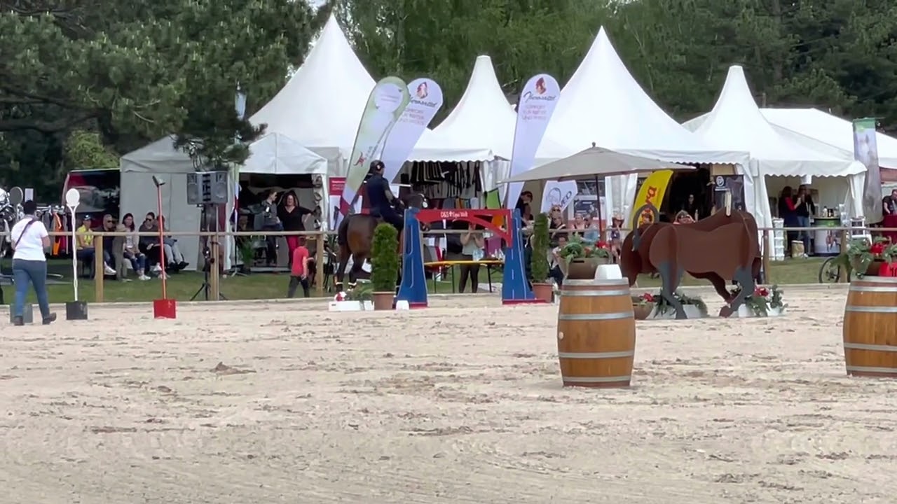 Working Equitation - Stiltrail - Mihai Maldea - Pferd International München 2022