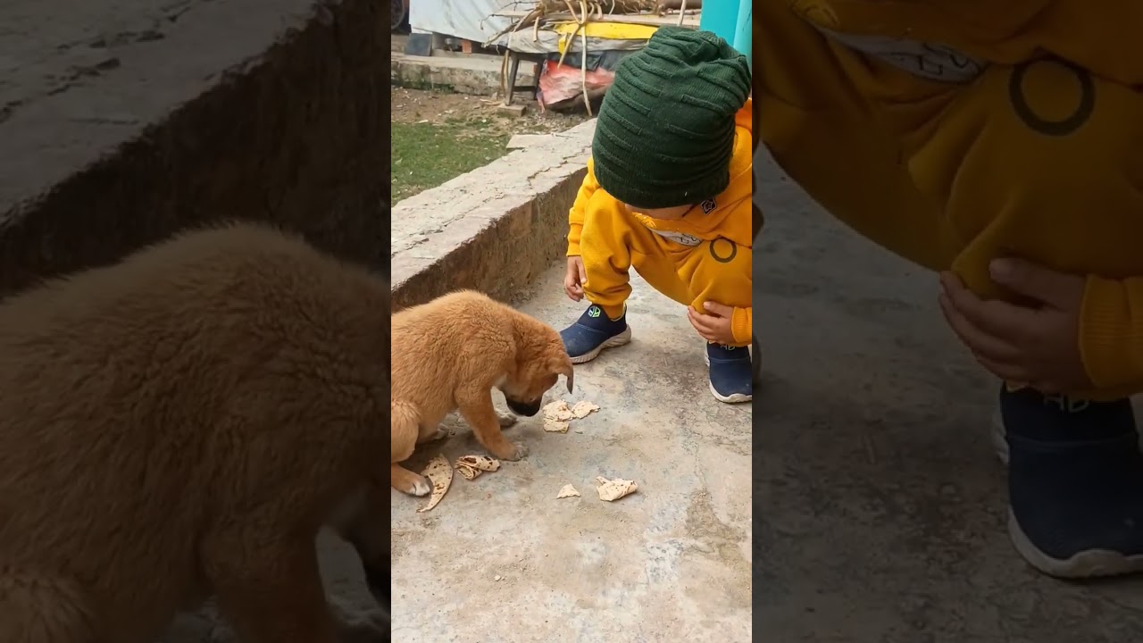 yug ke cute puppy 😂😂