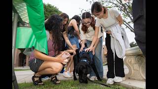 Laredo College De-Stress Fest: Paws & Reset and Dodgeball Tournament Highlights