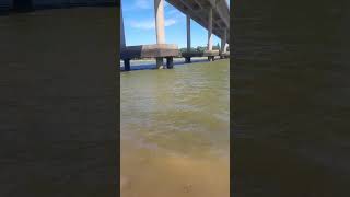 llegando una regata más largo del mundo a viedma Río negro Argentina 🇦🇷