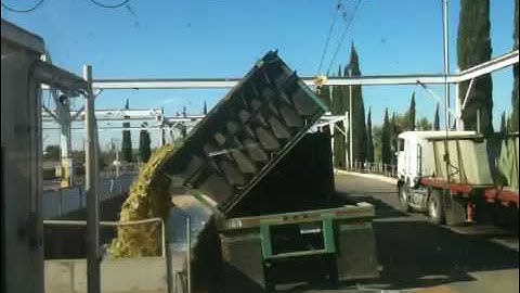 Spectrum Grape Harvester 5