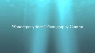 Entry for Wonderponyriders' Photography Contest