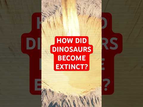 How Did Dinosaurs Become Extinct? 🦖 #shorts