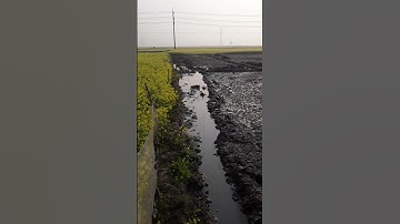 How to PROCESS DUCKS for Meat | Polyface Farm | Bird And Animal P655