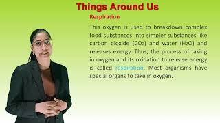 Things Around Us  II CH-7 OF CLASS 6  II ESSENTIAL SCIENCE IRISH