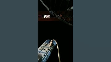 Thumbnail of 6 June 2024