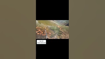 Đụng hàng khủng #nabanca #fishing #nobanca #sungbanca