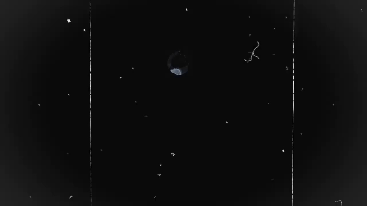 Old Film Grain / Ecran noir pour Transitions de Highlights