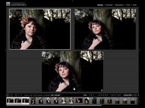 Lightroom 2.5 Survey Mode - Audio Naration