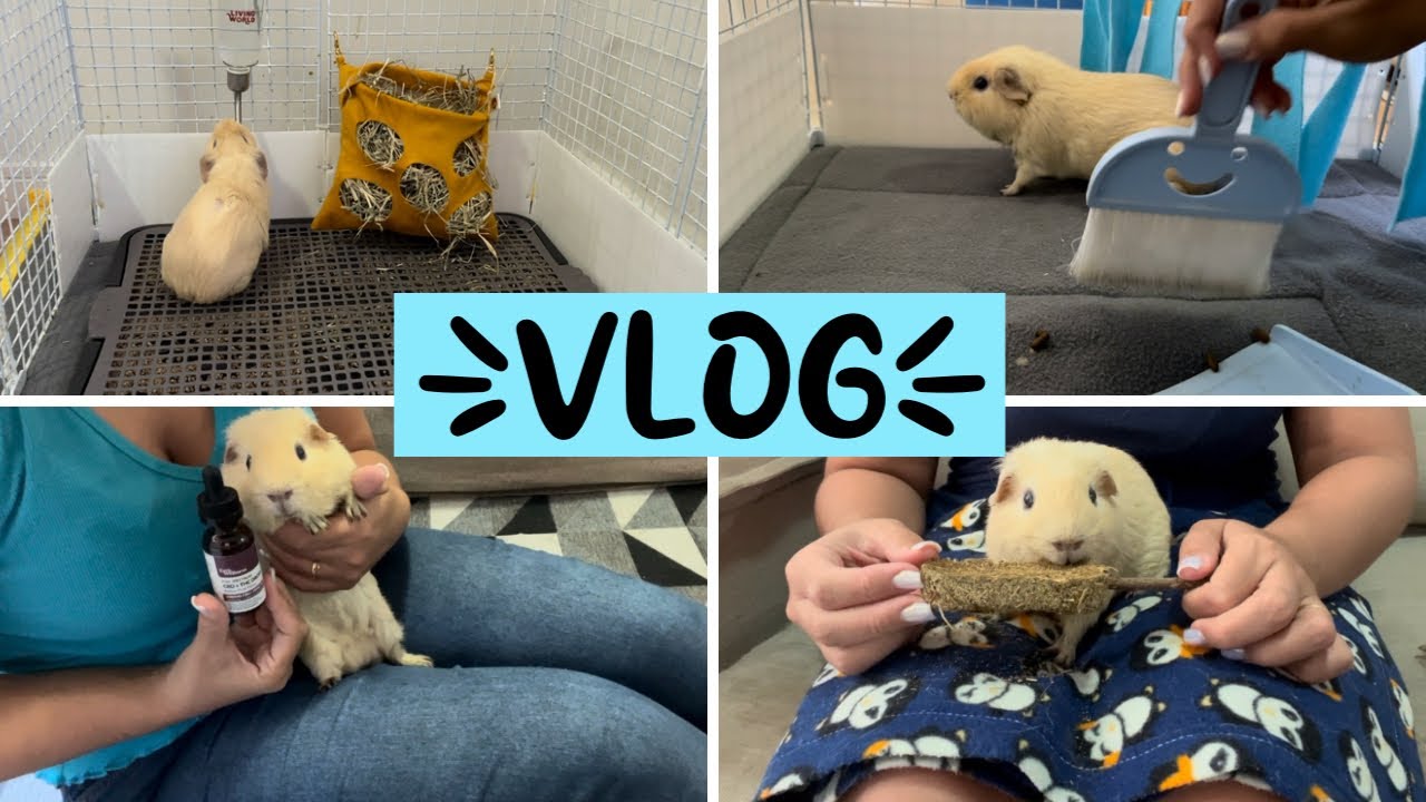 Um dia com a gente | VLOG | Rotina