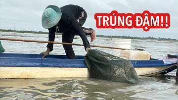 ÔNG SÁU TRÚNG CÁ • Bữa Cơm Dân Dã Đậm Chất Miền Tây | Bông Lúa Đồng Tháp