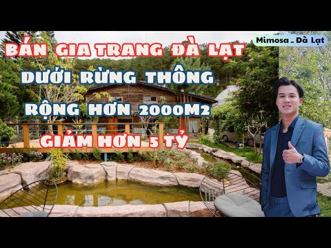 Homestay / Villa / Gia Trang Đà Lạt rộng rãi và xanh mát. Chủ hạ giá hơn 5 tỷ bán nhanh ( Mimosa ) 