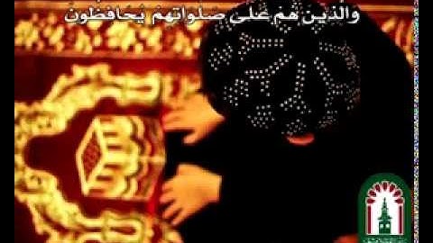 سورة المؤمنون 1   -   11
