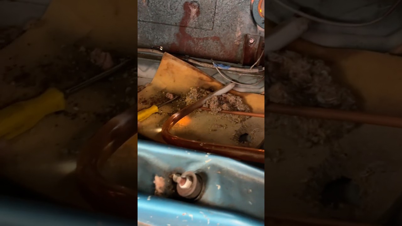 Should It Stay Or Should It Go?