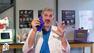 Fat Testing - Sudan III Lipid Indicator - Educator Moment