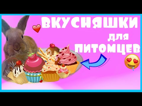 Видео: Как покормить улитку: 5 шагов (с картинками)