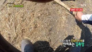 정글의법칙 in 사바나 131101 #42(10)
