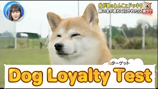 Dog Loyalty Test *funny af* Dog Loyalty Test *funny af*