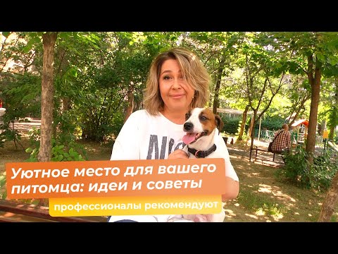 Видео: Открытая кухонная полка и гибкость, которая приходит с ней