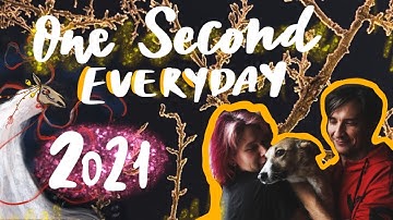 1 second everyday - my 2021