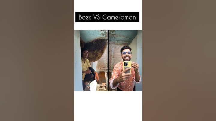 Bees VS Cameraman..!! #short ||aesthetic