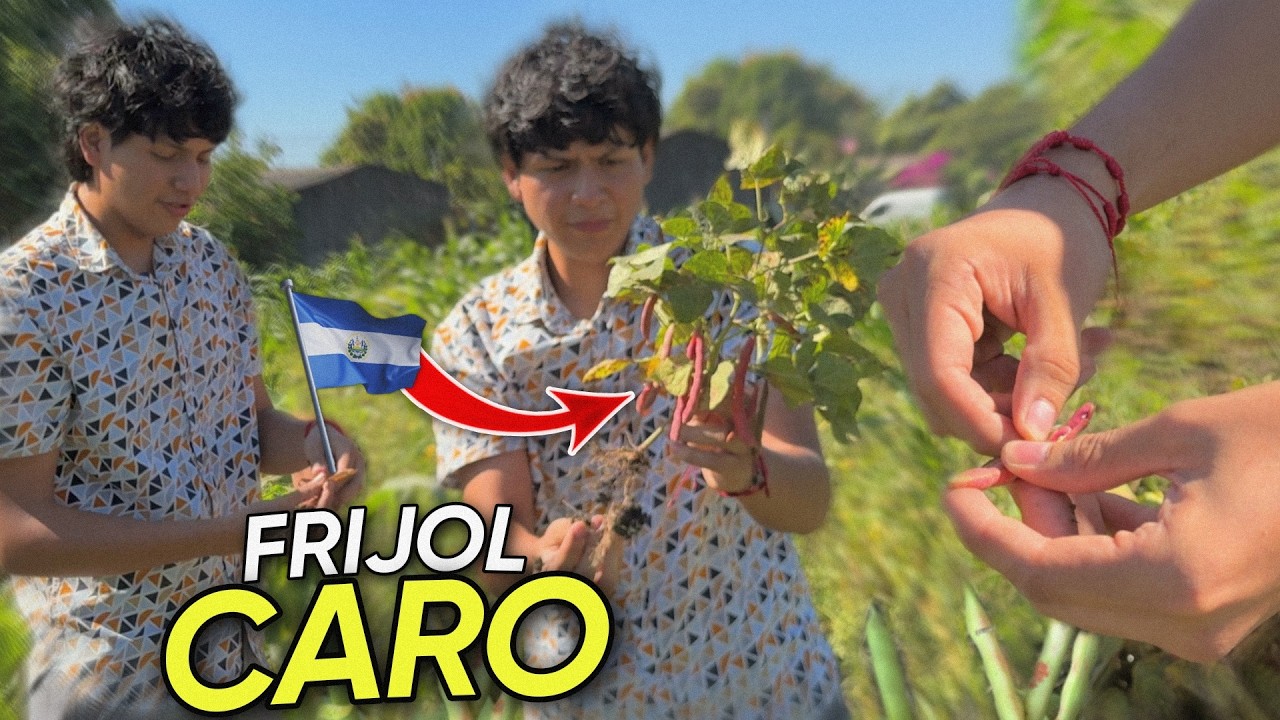 LOS FRIJOLES MÁS CAROS DE EL SALVADOR?