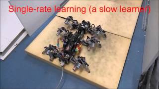Hexapod robot AMOSII: Energy Efficient Walking (Why is dual rate learning)