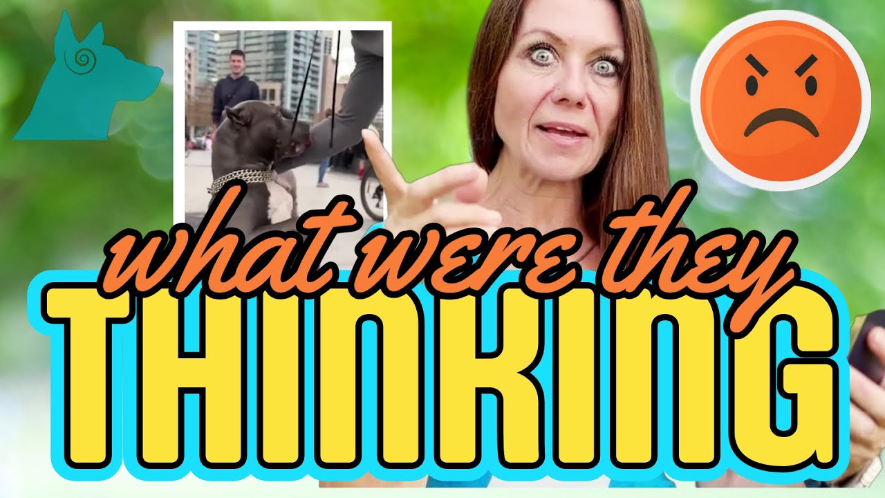 Dog behaviorist reacts to irresponsible parents, where were they? 🤯