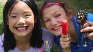Camp Echo Bridge Promotional Video 2016