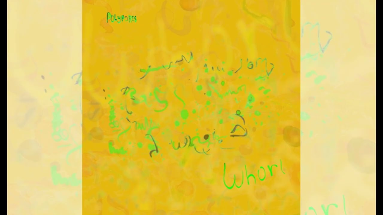 Polypores - Whorl (2025)