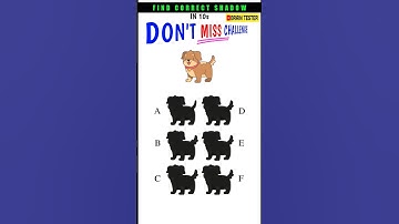 FIND CORRECT SHADOW👆 | #shortvideo | @braintester777