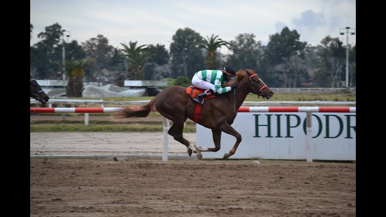Clásico 9 de Julio - Día de la Independencia (G3) - Sabiyano (Fortify)