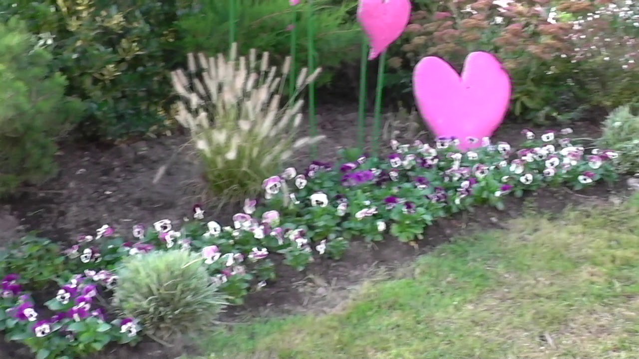 Gibe S Garten Youtube