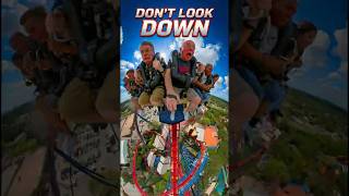 😱 SheiKra: WHO DARES the 200ft (61m) drop? Don´t look down 🎢 Busch Gardens #rollercoaster