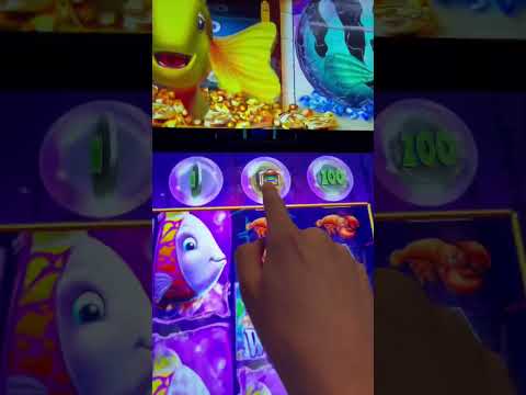 Experience the Thrill of Fish Boom Game Play in English, Now Available for New Zealand Players!