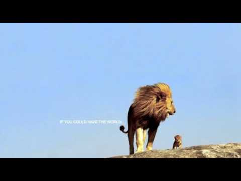 donavon frankenreiter wondering where the lions are