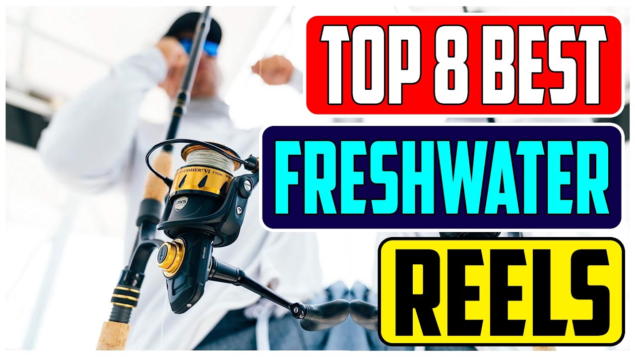 Best Spinning Reels for Freshwater Unbiased Review and Comparison