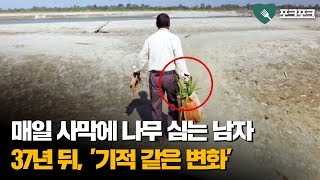 매일 사막에 나무를 심은 남자. 37년 뒤 나타난 