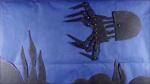 Animations using Dragonframe Software | Emily Go