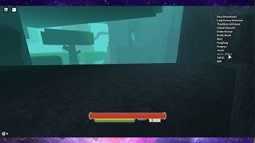 Getting Killed by Hacker | Rouge Lineage