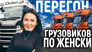 ДАЛЬНОБОЙЩИЦА НА ПЕРЕГОНЕ! ПОЛУЧАЕМ НОВЫЕ ФУРЫ  SCANIA R410.