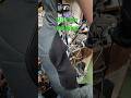 massager Repairing #mr.service #shortsfeeds #shortsvideo #massager