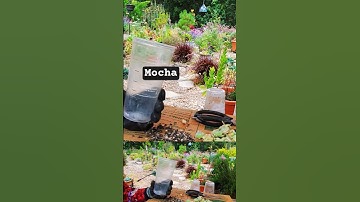 These work like a charm. #gardeningforbeginners #shorts