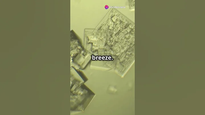 The Secret World of Quantum Gardens! 2024