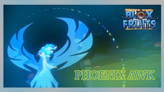 Phoenix Awakening on Blox Fruits Update 17.2 - BiliBili