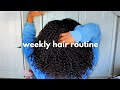 Weekly Hair Routine with a *NEW* Wash & Go | Success or Fail?