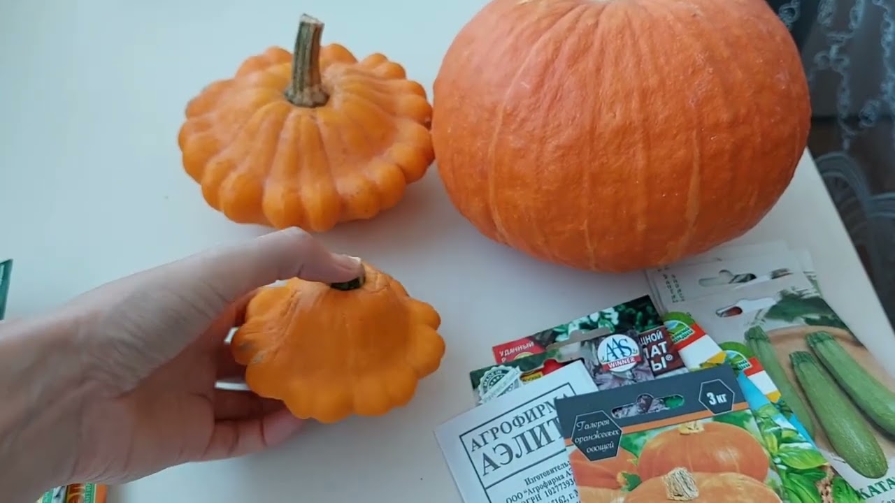 Семена овощей на 2026 год