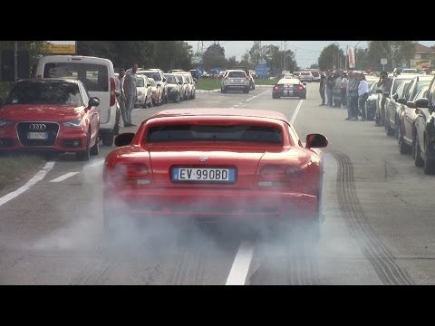 BRUTAL Dodge Viper GTS-R, GTS, RT/10 - Burnouts & Rev Battle V10 Sound!