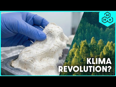 Innovationen gegen Umweltverschmutzung: Plastik, Öl & Wasserkraft neu gedacht