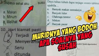 Download Lagu Jawaban Jawaban Anak SD Kocak Bikin Ngakak Jungkir Balik! MP3